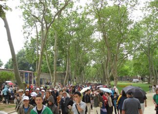The Legacy of Doves A Tale of Cappadocia’s Vineyards
