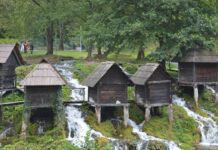 Early Problems in the Macedonian Committee