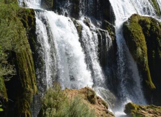 Failure of the Treaty of Berlin