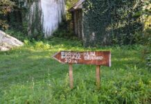 The Religious Importance of the Hebdomon